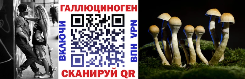 Галлюциногенные грибы Psilocybine cubensis Щигры